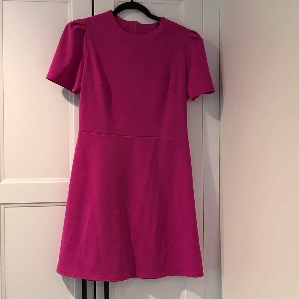 Elegant Pink Women's Dress